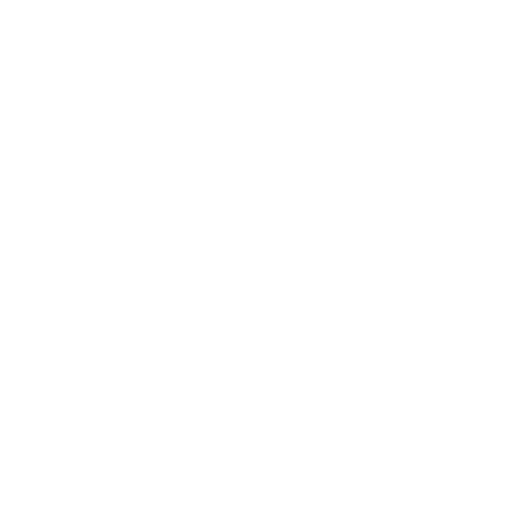 Bmw Motorrad