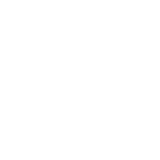 Burstner