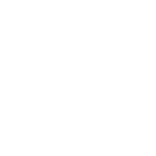 Case