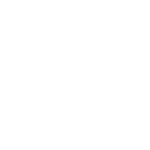 DFM