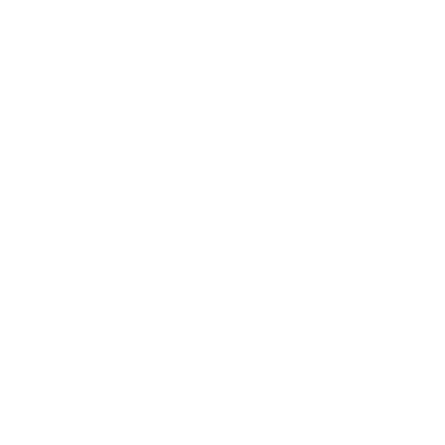 DS Automobiles
