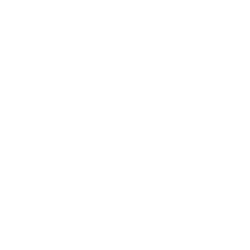 Foton