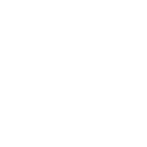 Rapido