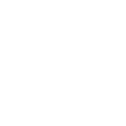 Rover